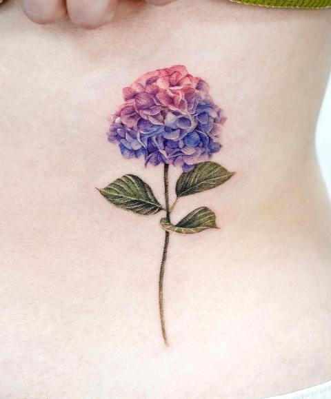 Stunning-Side-Stomach-Hydrangea-Tattoo 