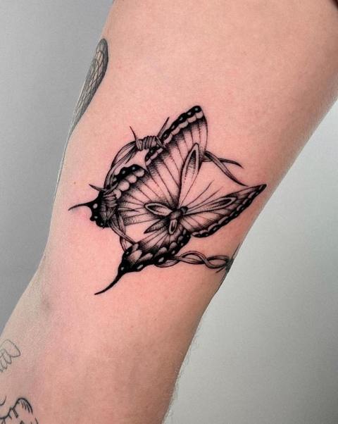 Stunning-Butterfly-&-Barbed-Wire-Tattoo
